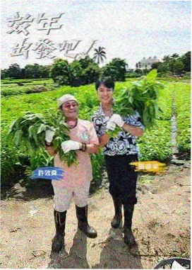 治愈日常题材分类配图